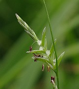 IMG_6415