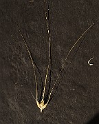 IMG_9119