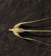 IMG_9122