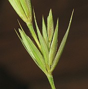 IMG_4582