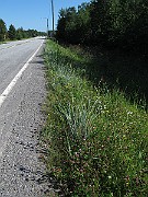 IMG_8712