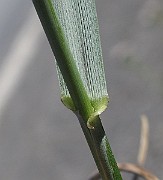 IMG_8716