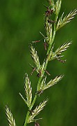 IMG_9552