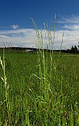 IMG_9554