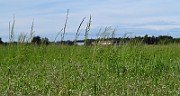IMG_9574