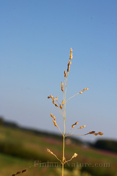 IMG_6024.JPG