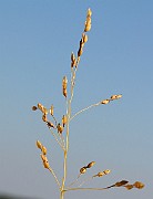 IMG_6023