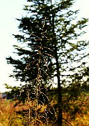 IMG_6027