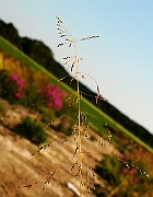 IMG_6043