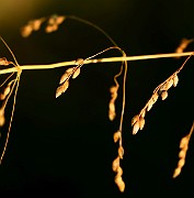 IMG_6050