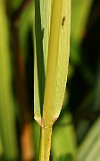 IMG_6060