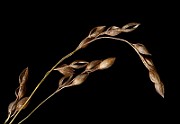 IMG_6083s