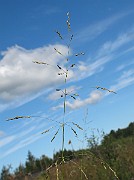 IMG_7705