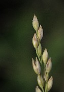 IMG_7706