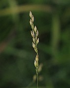 IMG_7708