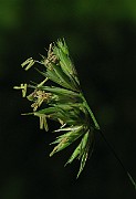 IMG_3513