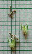 IMG_4548b
