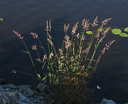 IMG_7608