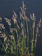 IMG_7610