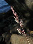 IMG_7877