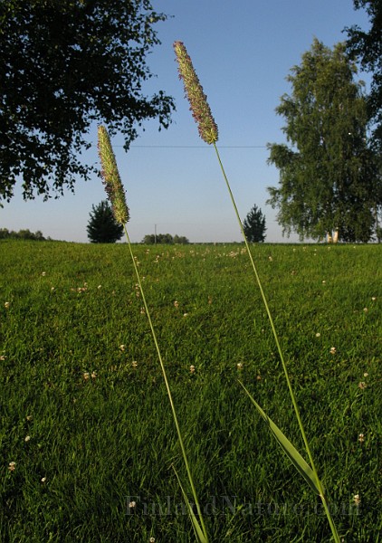 IMG_3732.jpg