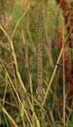 IMG_0505