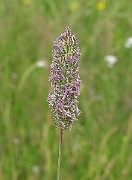 IMG_7569