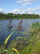 IMG_1930