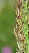 IMG_4127b