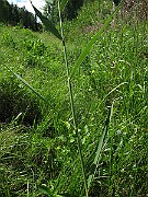 IMG_4131