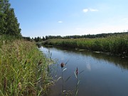 IMG_9715