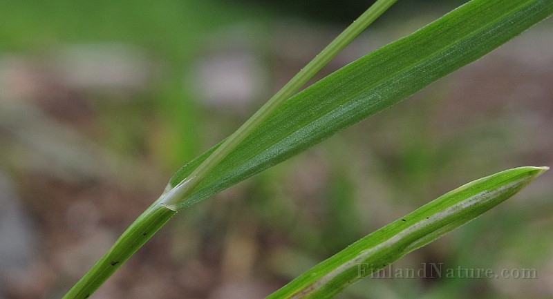 IMG_8488.JPG