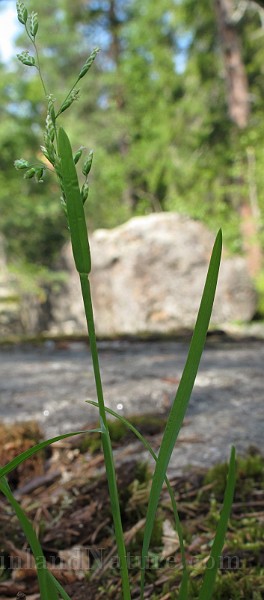 IMG_8574.JPG