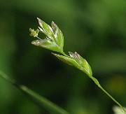 IMG_3994