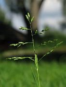 IMG_3996