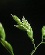 IMG_3997