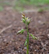 IMG_8486