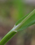 IMG_8489