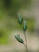 IMG_8569