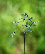 IMG_9892