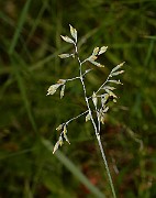 IMG_9893