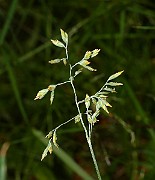 IMG_9894