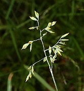 IMG_9895