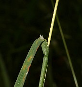 IMG_9897