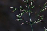 IMG_9946