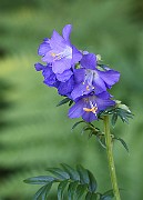 IMG_9995