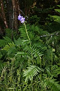 IMG_9998