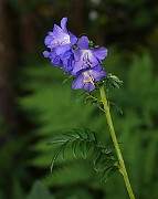 IMG_9999