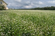 IMG_0183