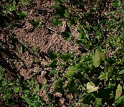 IMG_1743